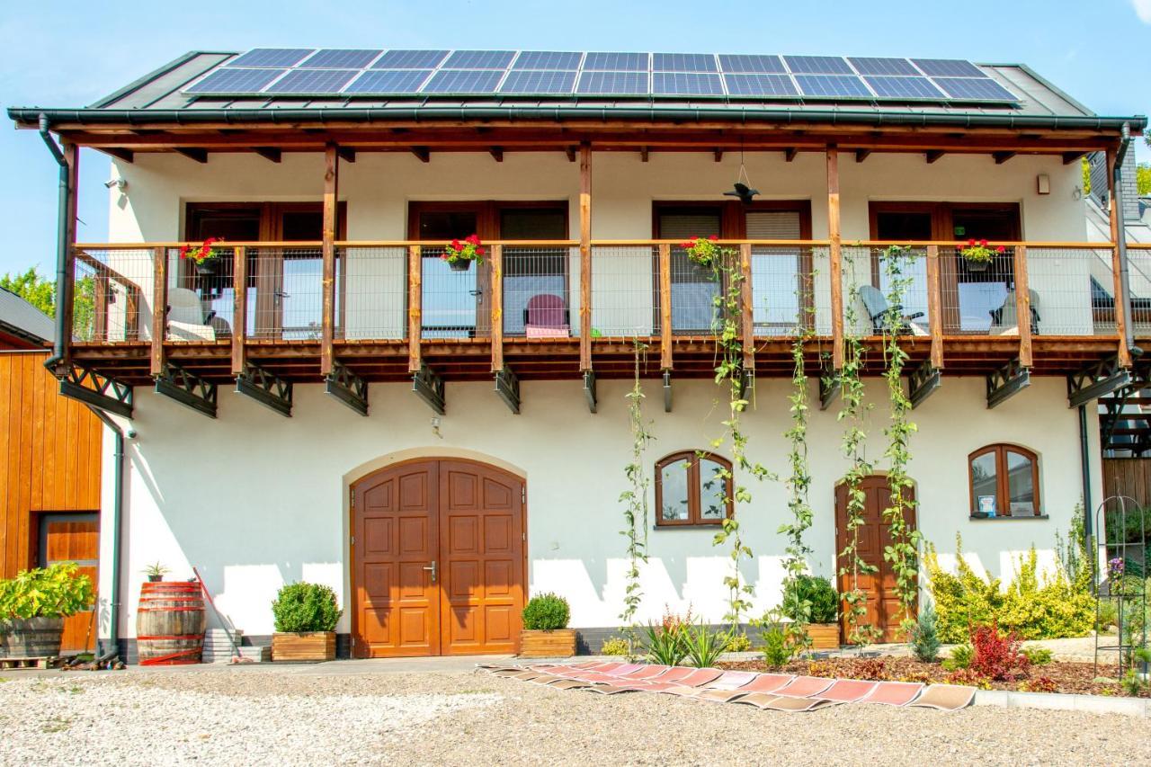 Winnica Plochockich Landsteder Pielaszow